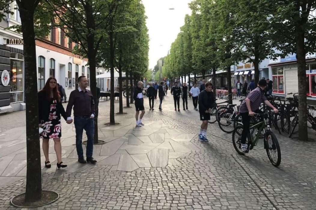 Special Offer,One Of Its Kind, Extremely Central In Herning, Danish Hosts, Extremely Clean, Very Quiet Street But A Stonethrough From Bars & Restaurants Leilighet Eksteriør bilde